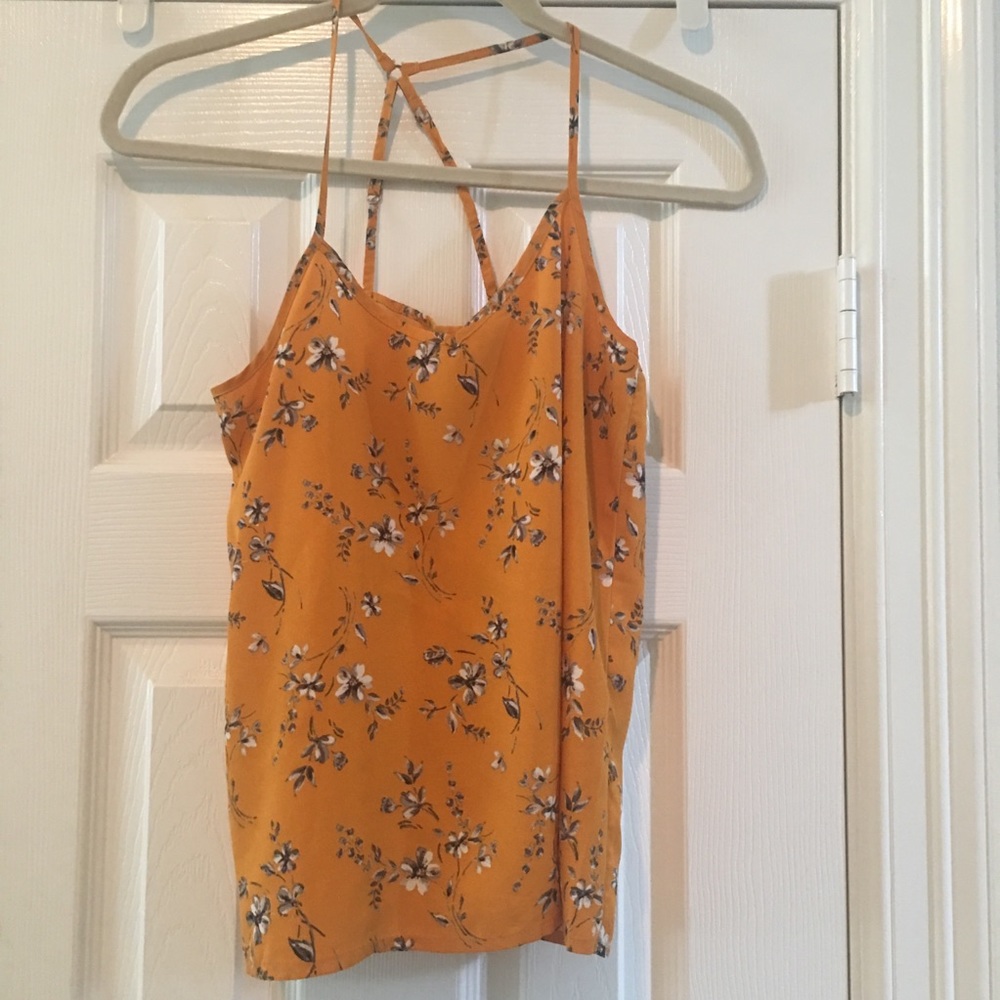 Hollister tank